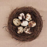 鹌鹑蛋 袋装500g