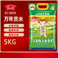 福花万年甄品香贡米5KG 软弹油粘大米 鲁花出品 鲁花大米 当季新米 香甜软糯 南方大米