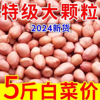 花生米 袋装500g