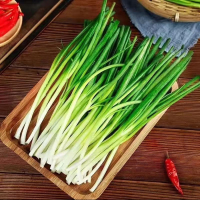 小葱 袋装500g