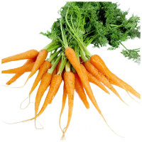 小胡萝卜 袋装500g