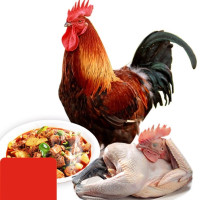 黑脚公鸡 袋装500g