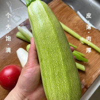 西葫芦 袋装500g