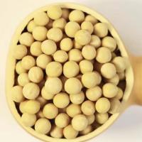 干大黄豆 袋装500g