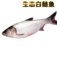 白鲢 袋装500g