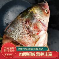 鲜花鲢鱼头 袋装500g