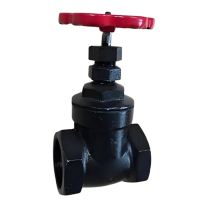 SGNFAFM 闸阀 1.6MPa DN15mm Z15T-16 单位:只