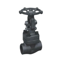 远大阀门 截止阀 J61H-800LBI PN13 DN25 单位:个