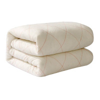 沃泥垫被|1m×2.0m定制