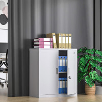 震怡文件柜铁皮柜钢制办公柜资料档案柜储物柜文件柜常规款 对开门矮柜 0.7mm