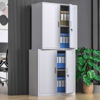 震怡文件柜铁皮柜钢制办公柜资料档案柜储物柜文件柜常规款 分双节文件柜 0.7mm