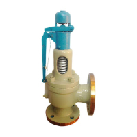 SGNFAFM 安全阀 1.6MPa DN100 A48Y-16C