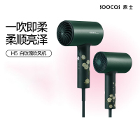 素士吹风机H5复古绿
