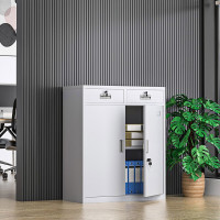 震怡文件柜铁皮柜钢制办公柜资料档案柜储物柜文件柜常规款 二斗下节矮柜 0.7