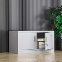 震怡文件柜铁皮柜钢制办公柜资料档案柜储物柜文件柜常规款 柜单节文件柜 0.7