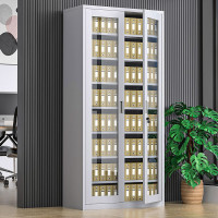 震怡文件柜铁皮柜钢制办公柜资料档案柜储物柜文件柜常规款 通玻凭证柜 0.5