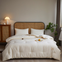 婵思 BZ0EOE2201075 150*200cm 约4斤 简约时尚 大豆春秋被件/条(计价单位:条) 米白