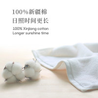 最生活 毛巾 大众系列(2条)A-1120