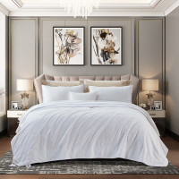 富安娜 华锦蚕丝夏被203*229CM/400g(单位:床) 白色