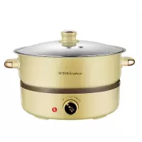 荣事达电火锅+养生壶