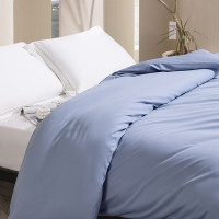 水星家纺 慢生活新疆长绒棉贡缎四件套 (冰川蓝)