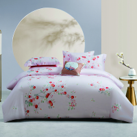 梦洁家纺纯棉印花四件套:平安如意1010189098