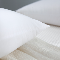 梦洁家纺 臻柔享梦对枕1010389026