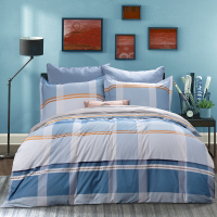 慕思·璞宿 (DeRUCCI PUSU)沁新纯棉四件套QSZ1-003(蓝白格)