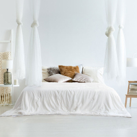 慕思·璞宿 (DeRUCCI PUSU)桑蚕丝被(400克)DSZ1-038