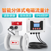 智能分体式电磁流量计管道印染废水dn15/20/125/250/300污水处理 分体式电磁流量计(四氟衬里) DN100