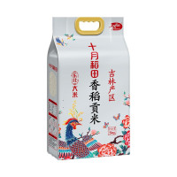 十月稻田 凤凰系列 香稻贡米5kg