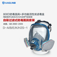 海固防毒面罩HG-800D+多功能活性炭滤毒盒