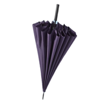 天堂 11013E 晴雨伞 双人雨伞直柄(单位:把)紫裳色