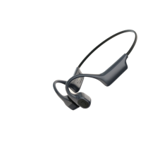 纽曼(Newmine)BC-F5纽曼骨传导耳机无线蓝牙耳机32G内存卡(单位:副)黑色