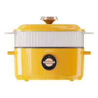 山水(SANSUI)S-HG1526 电煮锅 2.5L(单位:个)