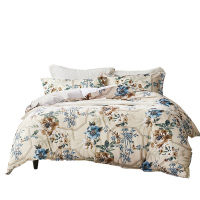 富安娜(fuanna)抗菌磨毛四件套/半城烟雨被套*1+床单*1+枕套*2 203*229 (单位:套)