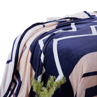 恒源祥1AI1442 左岸光年珊瑚绒毛毯 180*200(单位:条)