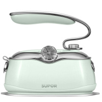 苏泊尔(SUPOR)GH-300C手持熨烫机216*101*172mm(单位:台)绿砼灰