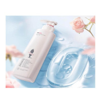 阿道夫(ADOLPH) 净屑舒爽 洗发香乳 520ml (单位:瓶)