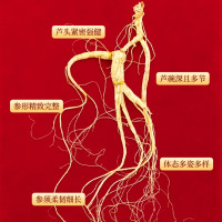 长白山人参 15年以上野山参5-7克 礼盒装