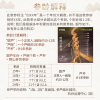 长白山人参约23年野山参13-16克礼盒装带鉴定证书