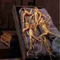 长白山人参约20年林下参30克参芦约2指野山参,泡酒材料国庆,中秋礼品送礼