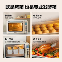 北鼎(Buydeem)家用电烤箱 多功能台式烤箱 大容量 49L [Julia黄]T750上下管独立控温 49L