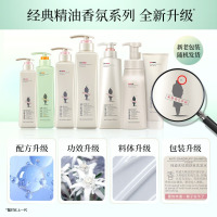 阿道夫滋润修护洗发水420ml+魅力经典沐浴露420ml