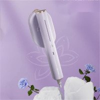 小画仙王者荣耀系列 干湿两用电熨斗手持挂烫机 除皱不伤衣小型迷你熨烫机便携式旅行熨烫机LDYD-1110-WZ