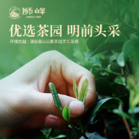 狮峰牌2025新茶上市绿茶高山头采特级明前龙井茶茶叶礼盒250g春茶送礼