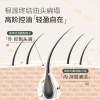 森之露雪藻控油蓬松洗发露(彩盒)