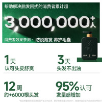 荷馨防脱育发洗发水350ml+洗发水30ml+梳子防脱育发