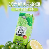 佰恩氏(BAIENSHI)小青柠汁柠檬果汁饮料非浓缩饮品[0糖0脂]200ml*12瓶 含NFC果汁