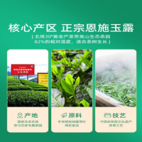 茶马世家一级富硒恩施玉露铁盒装70g